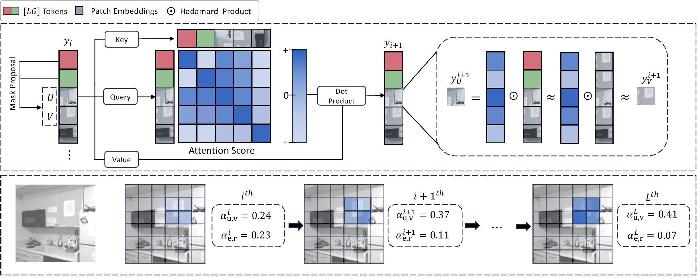 Dual Path Semantic Segmentation with Locality Guidance Tokens main figure
